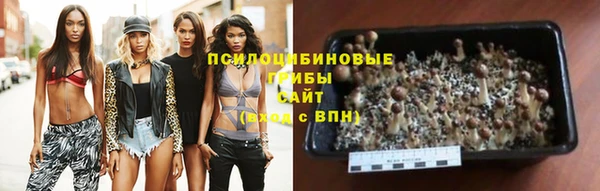 сатива Гусиноозёрск