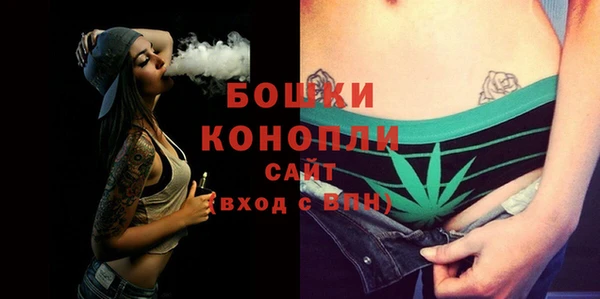 сатива Гусиноозёрск