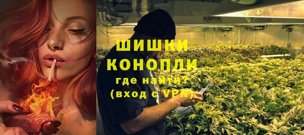 метадон Гусев