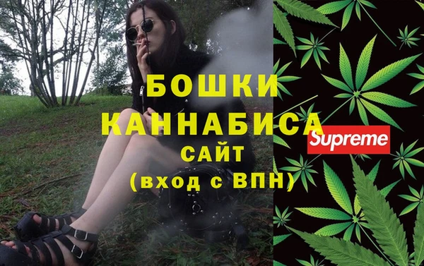 метадон Гусев