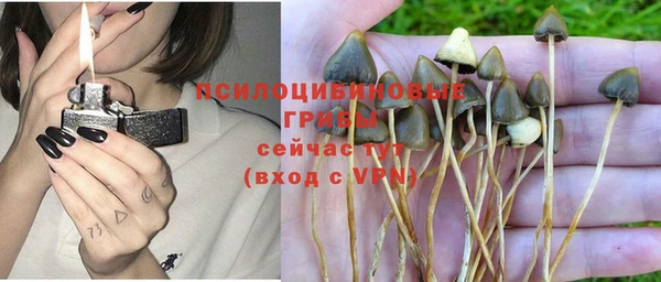 гашишное масло Гусь-Хрустальный