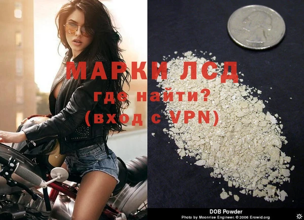 сатива Гусиноозёрск
