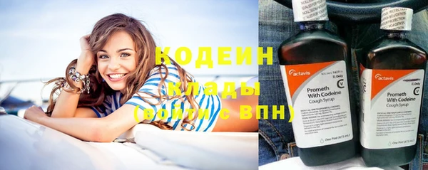 метадон Гусев