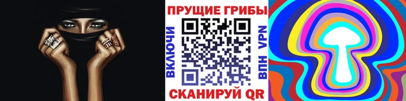 Купить где  Ясногорск  Псилоцибиновые грибы MAGIC MUSHROOMS 